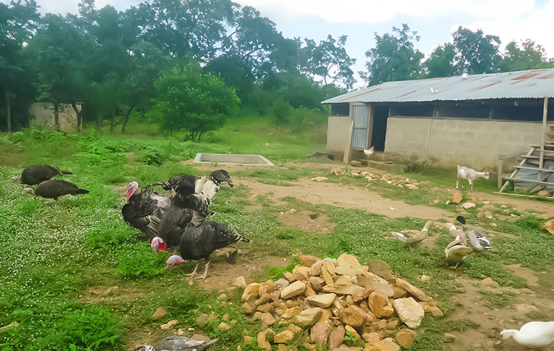 home_gradse_company1 home_gradse_company1